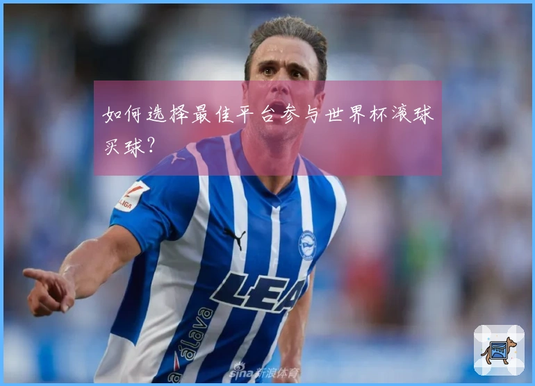 如何选择最佳平台参与世界杯滚球买球？